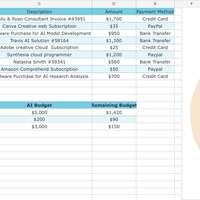 Expense Tracking Report