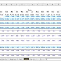 Cash Flow Analysis and Forecasting