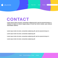 Website Designs