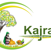 Portfolio Thumbnail 1