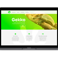 Gekko Innovations | IT consulting | logo & identity