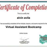 Certificate in VA bootcamp training
