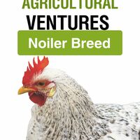 Portfolio Thumbnail 14