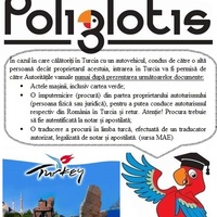 Portfolio Thumbnail 6