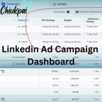 LinkedIn Ads Campaign