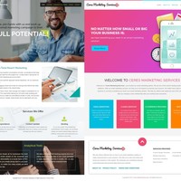 Website Design