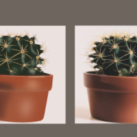 Portfolio Thumbnail 34