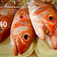 Portfolio Thumbnail 20