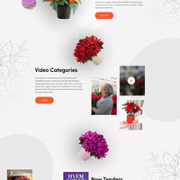 Star Unit - Website Design
