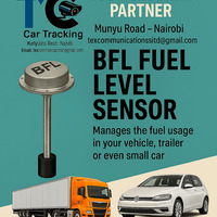 Portfolio Thumbnail 29