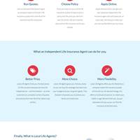 Avada theme customization for locallifeagents.com