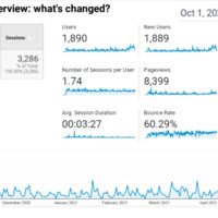 Organic Traffic