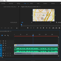 Adobe Premiere Pro