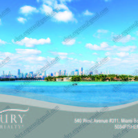 Portfolio Thumbnail 9