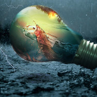 Portfolio Thumbnail 1