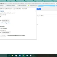 Email Management