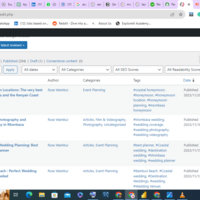 SEO Copywriting on WordPress
