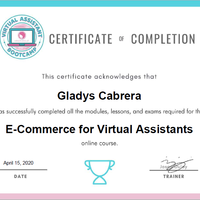 E-commerce for VA Certificate