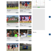 Feverpitch.in website