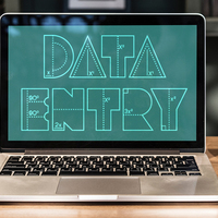 Expert in Data Entry