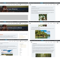 WordPress Posting