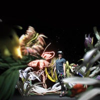 Portfolio Thumbnail 9