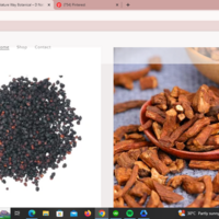 Portfolio Thumbnail 4