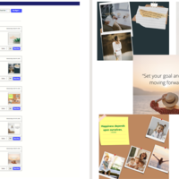 Social Media Management