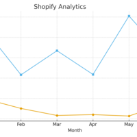Monitored store sales with shopify analytics