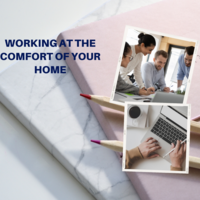 Portfolio Thumbnail 0