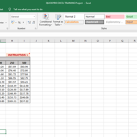 MS Excel Table 3
