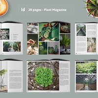 Brochure Template