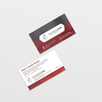 Marketing Materials and Visual Identity Design — Skynora