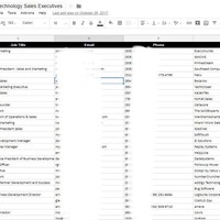 Proj: B2B Sales Exec Leads in Miami and Phoenix AZ