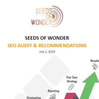SEO Audit for Seed of Wonder