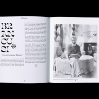 Brancusi, Essence de la matière - art book