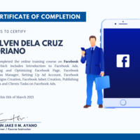 Facebook ads COC