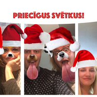 Portfolio Thumbnail 3