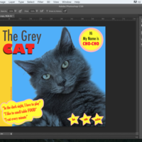 Photoshop Sample