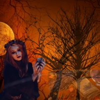 Portfolio Thumbnail 9
