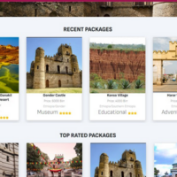 Denakil Tour and Travel website