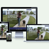 Portfolio Thumbnail 9