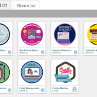 Badges/Skills I've Been Trained In