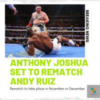 Portfolio Thumbnail 1