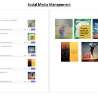 Social Media Management