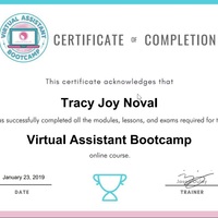 Virtual Assistant Training 