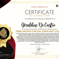 Freelancing Course Gold Certification