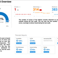 SEI Audit Overview