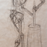 Life Size Anatomical Study