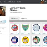 Credly Learning Badges